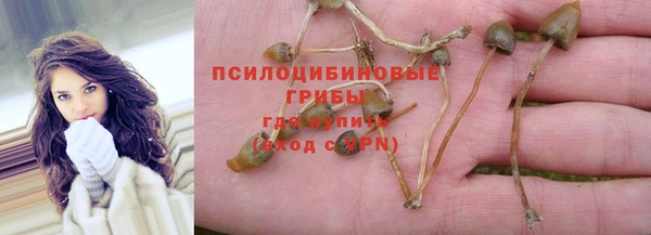 дмт Балахна